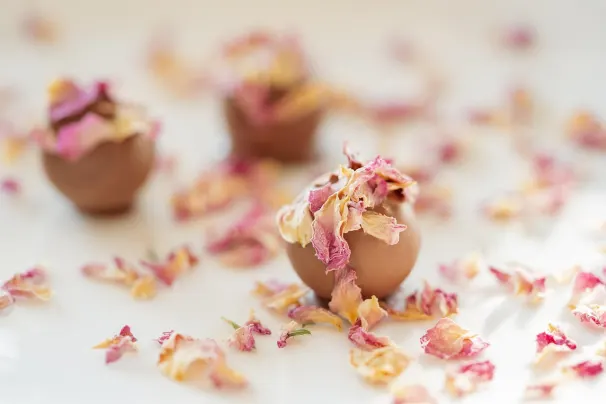 Kazino Lotus Asia Android/iOS programa